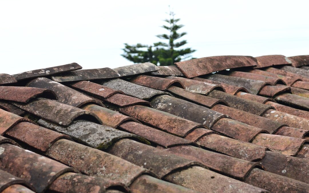 Roof Repairs – When do I call the professionals?